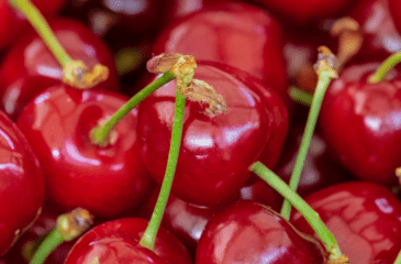 cherries zoom