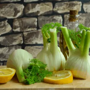 FENNEL