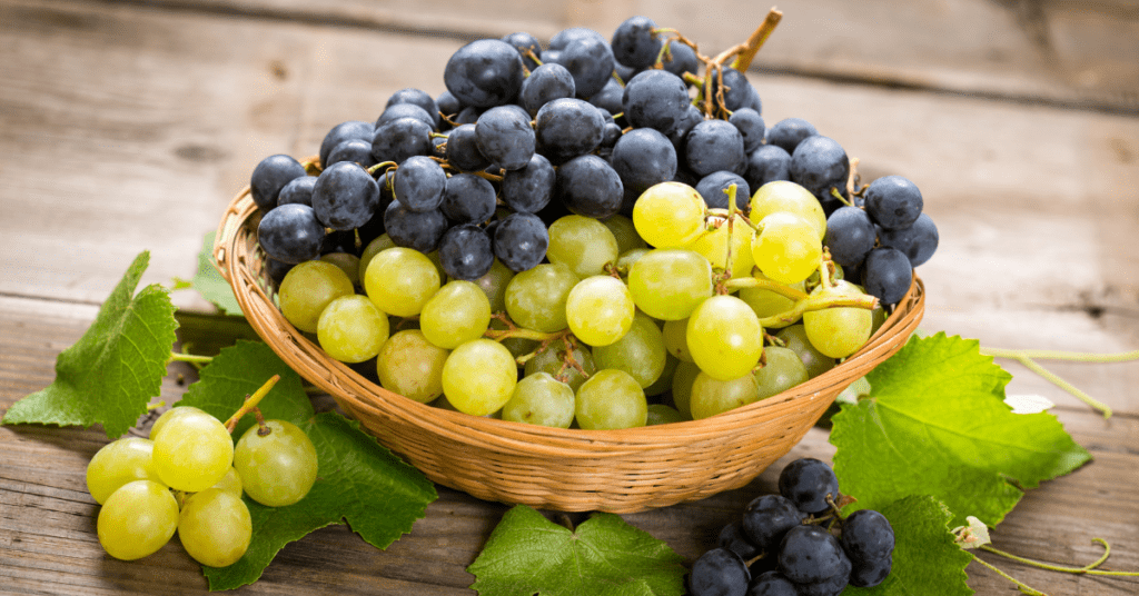 Grapes