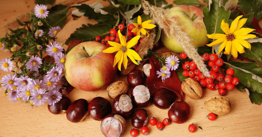 Mangiare frutta e verdura di stagione: a novembre missione possibile