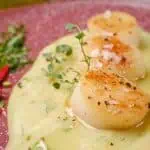 Scallops on creamed artichokes and herbs