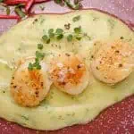 Scallops on creamed artichokes and herbs