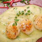 Scallops on creamed artichokes and herbs