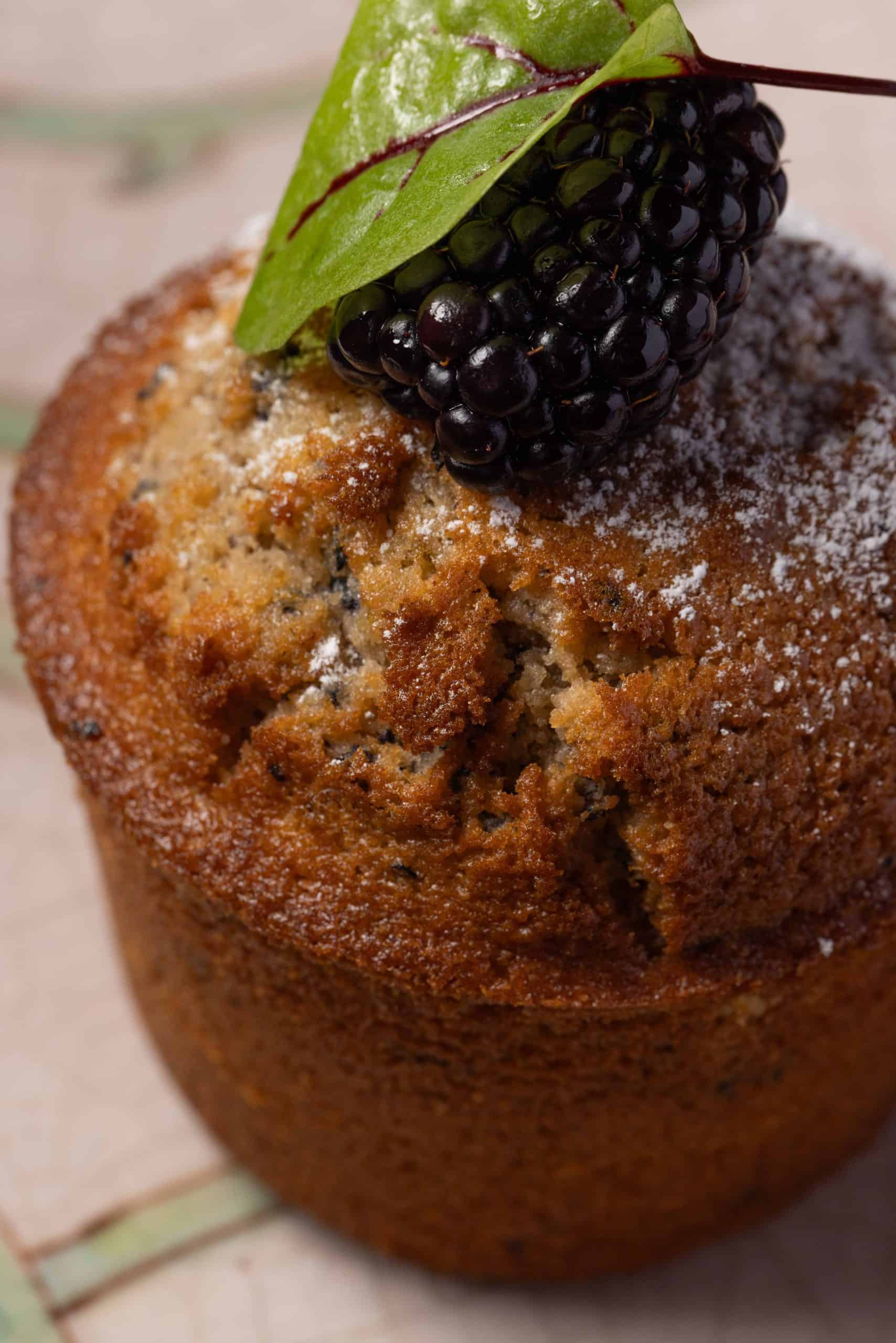 Bran and Blackberry Muffins - I Love Fruit And Veg From Europe
