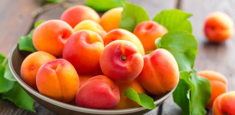 Le albicocche: il frutto dorato che aiuta a ottenere un’abbronzatura perfetta