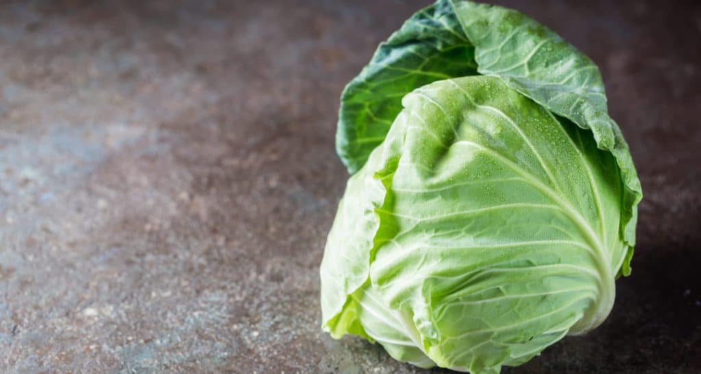 repollo y col son lo mismo